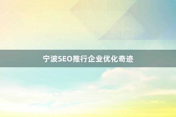 宁波SEO推行企业优化奇迹